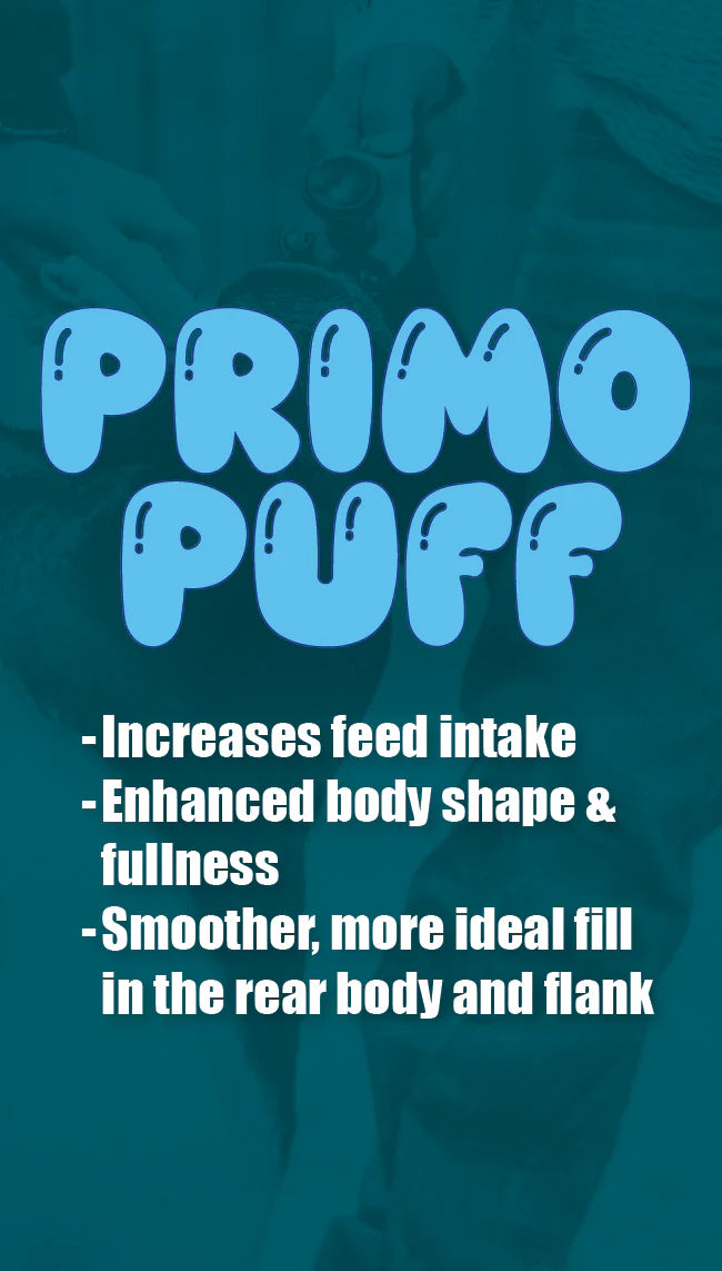 Primo Puff