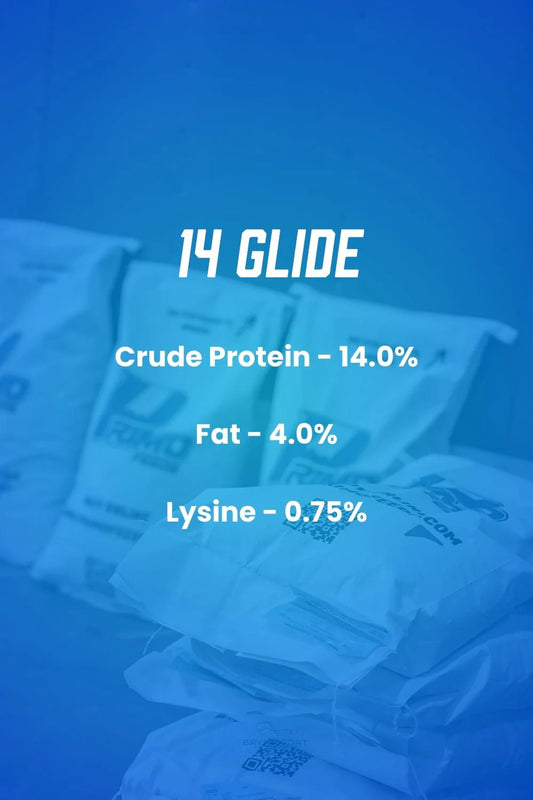 Primo 14 Glide