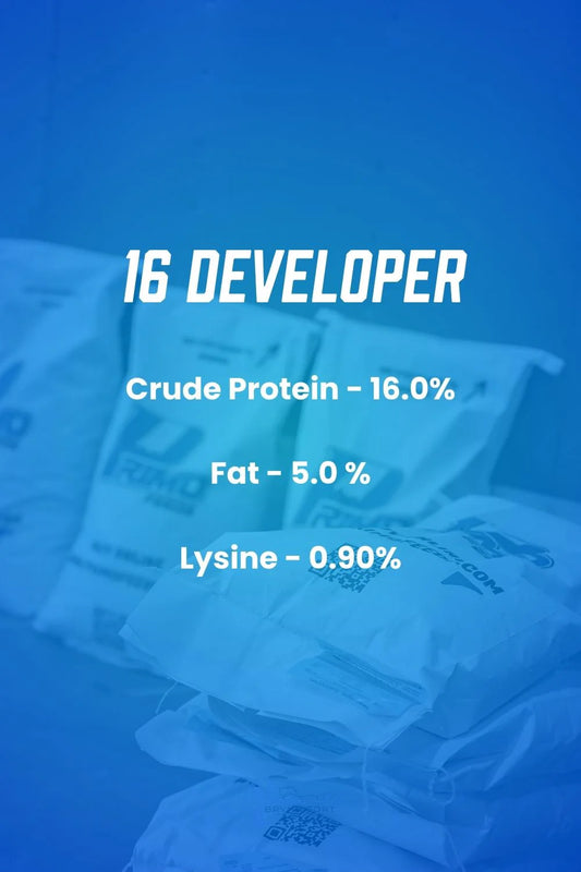 Primo 16 Developer