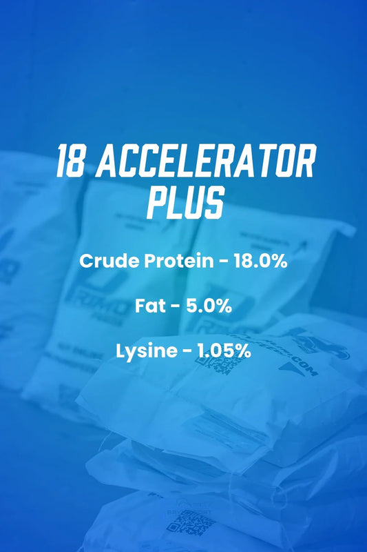 Primo 18 Accelerator Plus