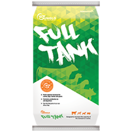 Sunglo Full Tank