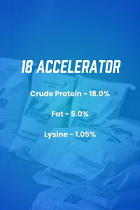 Primo 18 Accelerator